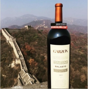 best winery in uruguay - Wine Paths